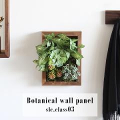 G}lHϗtA t[ Ǌ|    G} lHϗtA Ǐ Botanical slc.class 03 t