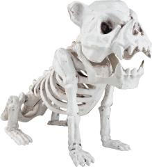 フレンチ ブルドッグ 犬 ハロウィン スケルトン - L 長さ 16 インチの