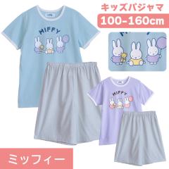 �~�b�t�B�[ miffy �L�b�Y ��100% ���̎q ���� �� �����Čy�� T�V���c�f��  �v�����g �T�b�N�X �p�[�v�� 100 110 120 130 140 150 160 �q