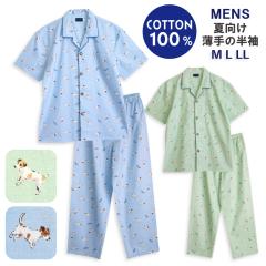 �p�W���} �����Y ��100�� ���� �� �O�J�� �{�^�� �W���b�N���b�Z���e���A ���� ����̃V���c �u���[ �O���[�� M L LL �����낢 �v���[��