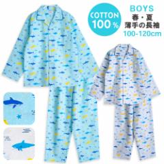 �p�W���} �L�b�Y �j�̎q ��100�� ���� �t �� �H �O�J�� �{�^�� �����ق̂悤�ȃT���� �V���[�N�� �u���[ �O���[ 100 110 120 �q�� �W���j