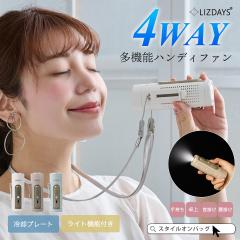 LIZDAYS 2026 �n���f�B�t�@�� 4way ��p�v���[�g ��@ ���C�g �����d�� ���^ �X���� ���� ��p �[�d�� ��� ��|�� ���|�� �X�g���b�v 