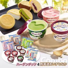 �n�[�Q���_�b�c���n�ԓ����Ȃ��v14�Z�b�g HT62 �X�C�[�c �A�C�X�N���[�� �������� �y���͂��s�n��F�����z ������ �ʔ� ���y�Y 