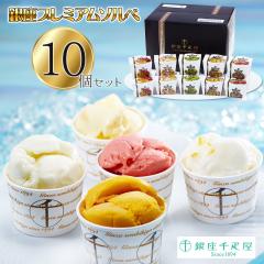 �������� �����D�� ����v���~�A���\���x 10�Z�b�g �l�ߍ��킹 / �\���x �l�ߍ��킹 ������ �O���� �M�t�g