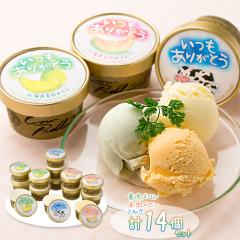 �������� �������肪�Ƃ��k�C���A�C�X�Z�b�g�i3��E�v14�j �Z�b�g �l�ߍ��킹 / �A�C�X �l�ߍ��킹 ������ �O���� �M�t�g