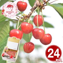 ��̓� �M�t�g 2026 �v���[���g ���� P10�{ �R�`���Y�n�E�X�������ڍ����� ��̓��Z�b�g �t���[�c �ʕ� �������� �y��d��s�z�y��