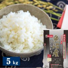 �ߘa7�N�x�Y �V���������Y�����Ђ��� 5kg �ď����̂��� ���� �������� �y10����{�����珇���o�ח\��z ������ �ʔ� ���y�Y ���j�� 