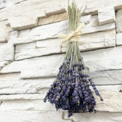 �������� �h���C�t�����[ ���x���_�[ �X���b�O �ԑ� �M�t�g �v�`�M�t�g �v���[���g �āy�Ђ傤���E�_�˃I�����C�����Y�W�z / �n���h���C