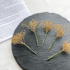 �������� �h���C�t�����[������ �w�b�h�p�[�c �w�b�h�h���X �����ݑ� 5�{�Z�b�g �S�[���h�����ݑ� �v���U�[�u�h�t�����[�y�Ђ傤���E�_��