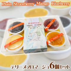 �e���[�k�t���}�[�W��6�Z�b�g �X�C�[�c �`�[�Y�P�[�L �������� �y���͂��s�n��F�k�C���E����E�����z ������ �ʔ� ���y�Y ���j