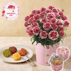 ��̓� �M�t�g 2026 �v���[���g ���� P10�{ �J�[�l�[�V���� �������z�C�b�v �� �p�e�B�X���[ �����V�F�[�� �G�^�j�e�B�[���[�Y �� �X�C�[