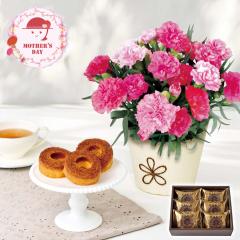 ��̓� �M�t�g 2026 �v���[���g ���� P10�{ �J�[�l�[�V���� �z�b�g�n�[�g ��T.D.Early �L���������[�o�E�� �� �X�C�[�c �������� �y��d