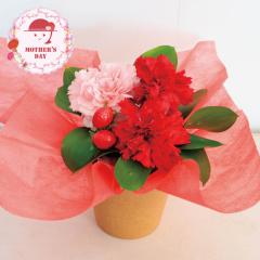 ��̓� �M�t�g 2026 �v���[���g ���� P10�{ �A�����W�����g �C�`�S�~���N �t�����[�A�����W�����g �� �������� �y��d��s�z�y���͂�