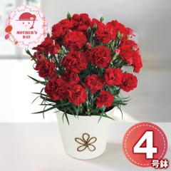 ��̓� �M�t�g 2026 �v���[���g ���� P10�{ �J�[�l�[�V���� ���ӂ̋C���� ���� �� �������� �y��d��s�z�y���͂��s�n��F�����z�y