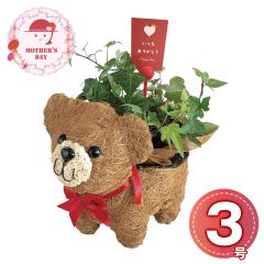 �y��̓�2026�z������ۃN�}����3�� 1853-949 �x�A �O���[�� �������� �y��d��s�z�y���͂��s�n��F�k�C���E����E�����z�y���͂�