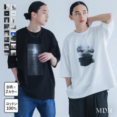 tV쁄wMDR}`vgsVcx[։y10z[TVc Y gbvX  Jbg\[ 100 N[lbN 