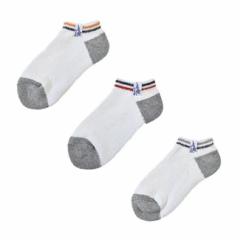 C Robert P. Miller 3P Ankle length socks 23-25cm (344C) o[gs[~[ fB[X \bNX RZbg 3P\bNX 