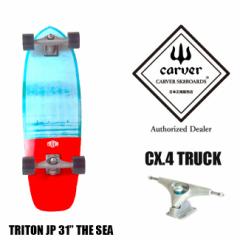 CARVER J[o TRITON  The sea 31 T[tXP[g XP[g{[h XP{[ XP[g Rv[g i