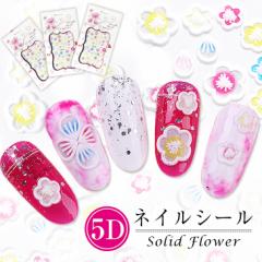 lCV[ \邾 5DlCV[  t[V[  3D藧̊ Jt lCA[g  ̎q ݌Ɍ