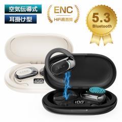 C`CXCz Bluetooth5.3 ǂȂ | hhH  ENCmCYLZO nYt[ NAʘb yPL