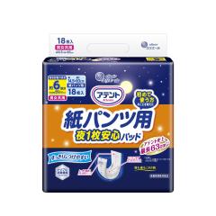 ナチュラ 夜つけて朝あんしん 吸水パッド 36cm 210cc(12枚入×5セット