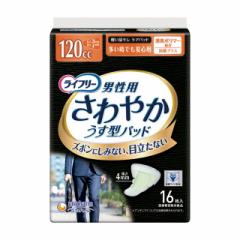 �y�y���փp�b�h�z���C�t���[����₩�p�b�h�j���p�������ł����S16��