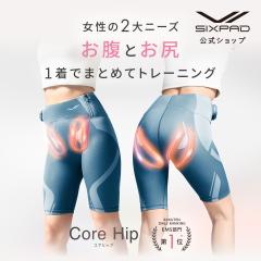 Vアップエクサ EMS 低周波 中周波 高周波 くびれボディ お腹EMS