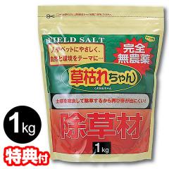 Hapyvergo 携帯用LPガス給湯器 7L タンクレス 湯沸器 1.85 GPM 熱湯