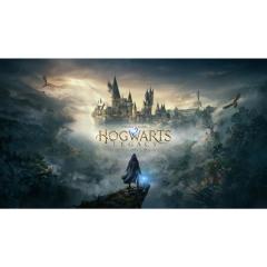 �y���������E�������O���o�ׁE�V�i�zNintendo Switch �z�O���[�c�E���K�V�[ BEST PRICE (8��27������) 051344