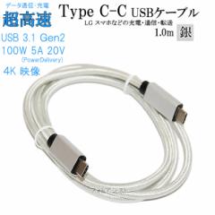 y݊iz LGdq GW[  X}[gtHE^ubg Ή@Type-CP[u(C-C USB3.1  gen2  1 F)(^CvC)  USB PDΉ 100