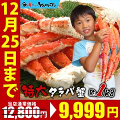  {C ^o Kj r 1kg Jj  ^oKj ΂ N ̓ hV̓  j O CN  Ε Mt