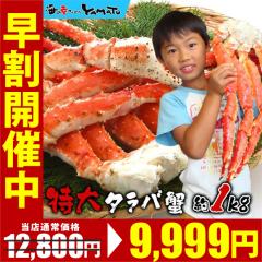  {C ^o Kj r 1kg Jj  ^oKj ΂ N ̓ hV̓  j O CN  Ε Mt