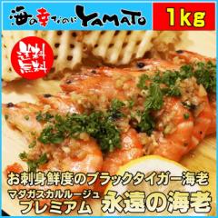 ɏ̃ubN^CK[CV }_KXJ[Wv~A R1kg30`35  Gr  N Ε Mtg 60 70 j