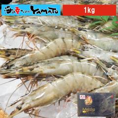 �g���H�h�������I�ɏ�̃u���b�N�^�C�K�[�C�V �}�_�K�X���[�W���v���~�A�� �R����1kg��30�`35������ ���� �G�r ���܂� �G�r�`�� �G�r