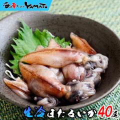 yNz\tz z^CJ 40 G ق邢 hg ⓀHi ܂ {̂ 