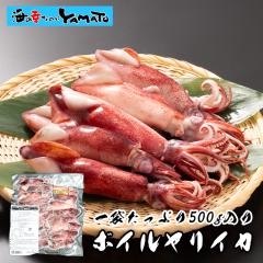 �J���t�H���j�A �{�C�������C�J 500g 18���ȏ� ���� �G��  ���� �ӎ� ����