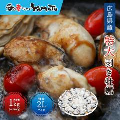 �L�����Y�g���f�����h���y�ނ��g 1kg(NET800g) �󏭂ȓ���2L�T�C�Y �������y �R�����Y �n�ӗ�H �◱ �J�L ���� �Ⓚ�H�i �y�� ���Ε�
