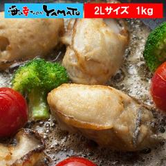 �L�����Y ���y�ނ��g 1kg(NET800g) �嗱2L�T�C�Y �������y �◱ �J�L ���� �Ⓚ�H�i �y��