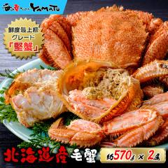 kCIz[cNY l䥂ŖъI ^570gTCY~2 v1,14kg  ϔ I J^Kj  PKj уKj  Jj j