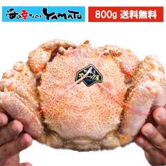 yIzII󏭂ȒTCYIkCIz[cNʎYgl䥂ŁhъI 800gTCY уKj т  Jj j Ε N 