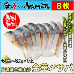yNz\tz؂ߎI 100`120g~6 VTo Y ⓀHi i XV