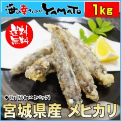 {錧YqJ e 1kg(500g~2)  ߂Ђ ڌ g VՂ