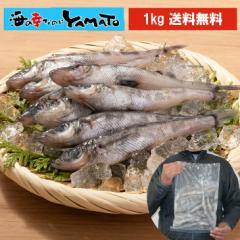 OΊY qJ 1kg (35O) ΊY ߂Ђ ڌ g VՂ
