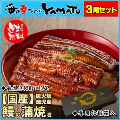 pϔ YΏ V̊ Ă 1120g~3{ Y SES̖琬 Y Ȃ EiM ypN̓ ̓ ̓ 