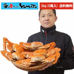 {C{YCIghp3kg  5ij Jj  I 킢 킢 킢I YC  YCKj IX JjX C