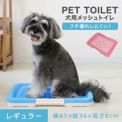 �� �g�C�� �g���[ ���p�g�C�� �g�C���g���[ ���M�����[�T�C�Y ��������h�~ ���^�� ���^�� �� �h�b�O ���̃g�C�� �g�C���e�� �g���[ ���b