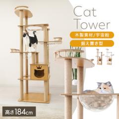 �L���b�g�^���[ �ؐ� �F���D �����u�� �܂Ƃ� �V�R�� �X���� ��^�L ���� ����~�� �������� �V�j�A ������� �B��� �W�]�� �܌��� �ȃX