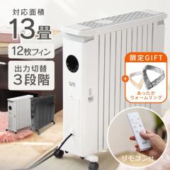 �y���Ԍ���GIFT�t��!�z �I�C���q�[�^�[ 13�� �g�[��� �q�[�^�[ �ȃG�l 12���t�B�� �����R���t�� �X�g�[�u �I�C�� �q�[�^�[ �g�[ �d�C�q