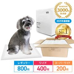 _LO1ʁ^ ybgV[c ^ M[ 800 Ch 400 X[p[Ch 200 6w\ uԋz  gC ybgV[g 