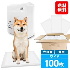 _݌v3,000˔j^ ybgV[c ^ Ch 100 6w\ uԋz  gC ybgV[g gCV[g ybg   